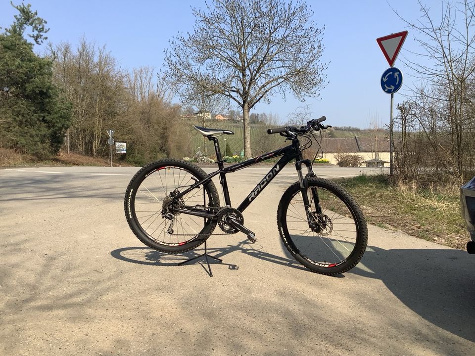 Radon ZR Team Rahmenhöhe 41 cm Jungen MTB in Walluf