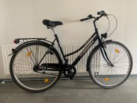 Fahrrad Prince 28-Zoll 3-Gang Rücktrittbremse  Dynamo LED Lampen Brandenburg - Potsdam Vorschau