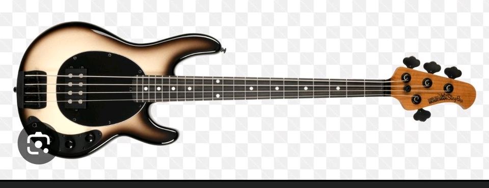 Suche einen Ernie ball Music Man Stingray short scale E bass in Apen