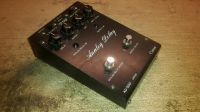 Coron AD-500 Analog Delay Vintage 1980 Japan Rare Nordrhein-Westfalen - Blomberg Vorschau