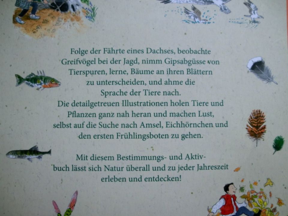 IM WALD, AM MEER UND VOR DER TÜR Buch in Düsseldorf