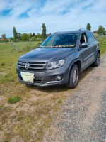 Verkaufe VW Tiguan 2012 Dresden - Gorbitz-Ost Vorschau