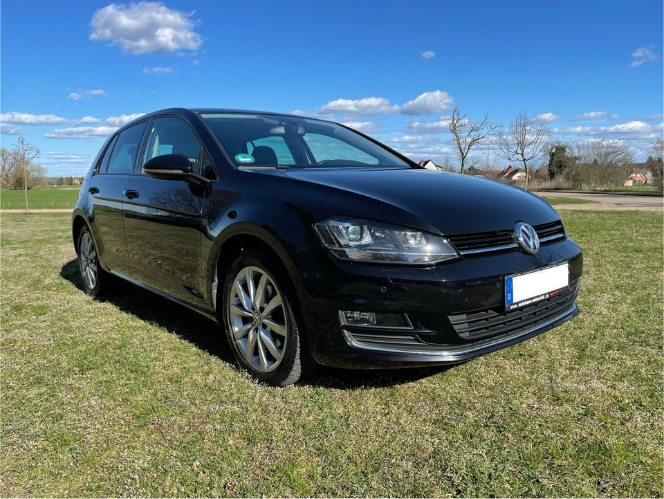 Volkswagen Golf Highline 1.4 TSI 7-Gang-DSG Xenon Leder in Stendal