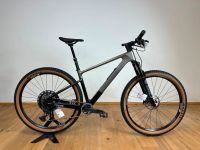 Focus Raven 8.9 Mountainbike Hardtail Farbe silver Größe M Baden-Württemberg - Gengenbach Vorschau