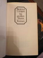 Im großen Sturm, Roman , Beatrice Coogan Baden-Württemberg - Gomadingen Vorschau