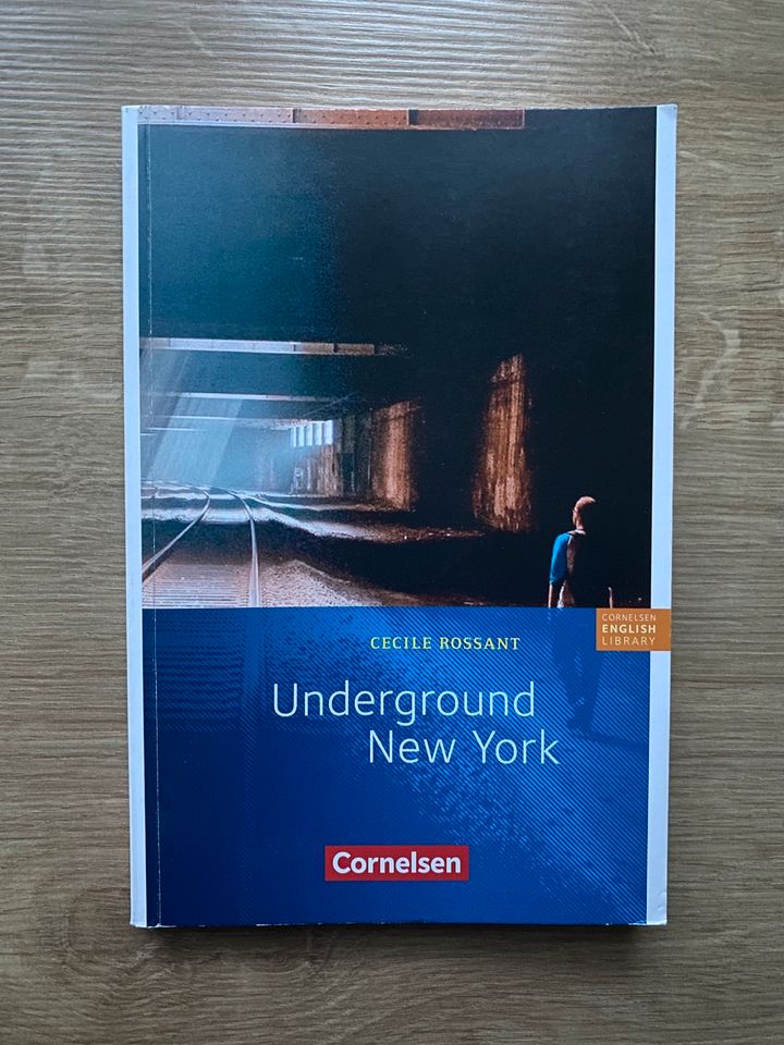 Buch Underground New York von Cecile Rossant in Leutenbach