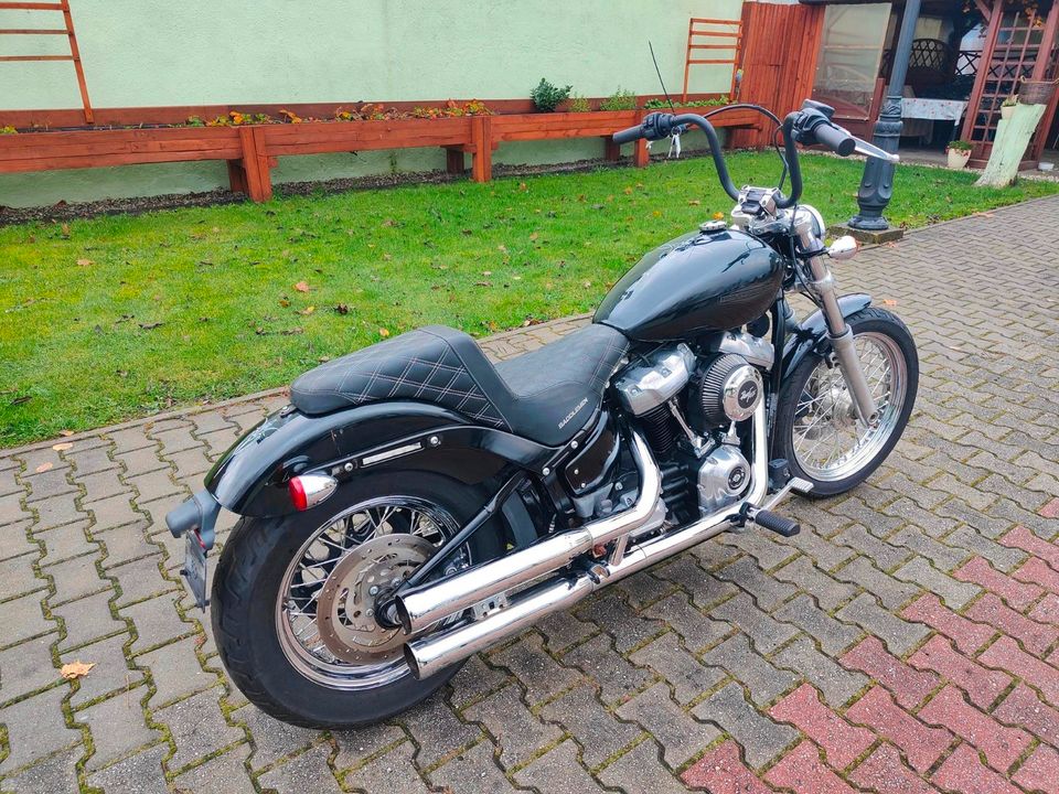 Harley Davidson FXST Softail Standard 107 cubic M8 2020 in Bremerhaven