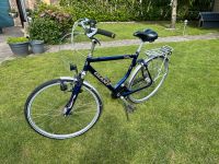 Fahrrad Herren Giant Nordfriesland - Rantrum Vorschau