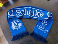 Schalke Schal Hessen - Zierenberg Vorschau