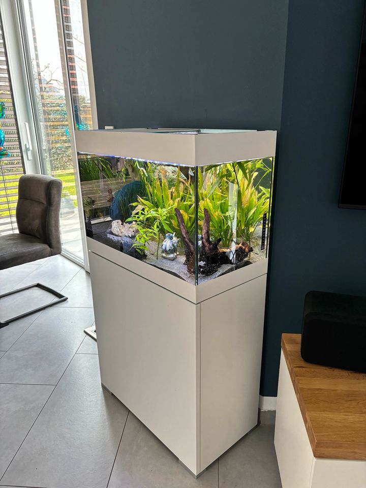 Aquarium Oase 125L Komplettset in Rheine