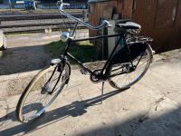 Gazelle Impala 28 Zoll Herrenrad Hollandrad Fahrrad *fahrbereit!* Innenstadt - Köln Altstadt Vorschau