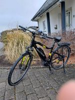 E BIKE, HAIBIKE 4.0 Sduro , TREKKING Rheinland-Pfalz - Liebshausen Vorschau