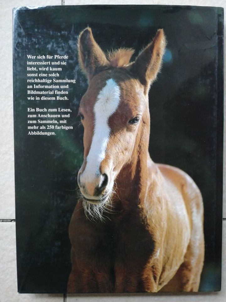 Bildband "Das Pferd" Karl Müller Verlag in Wassertrüdingen