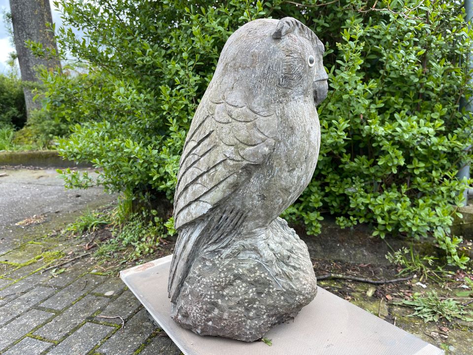 Große Sandstein Eule Skulptur Statue Figur Garten Dekoration 50cm in Paderborn