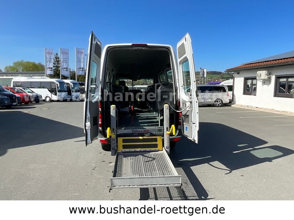 Mercedes-Benz 313 CDI Sprinter/ 9 Sitze/ Behindertengerecht in Untersteinach