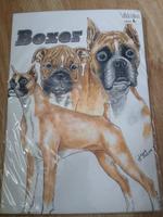 Neu T-Shirt Shirt Boxer Hund Rasse Gr.M, Bonn - Bad Godesberg Vorschau