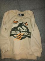 Kinder Pullover ,,Jurassic World " Größe 110 Baden-Württemberg - Murg Vorschau