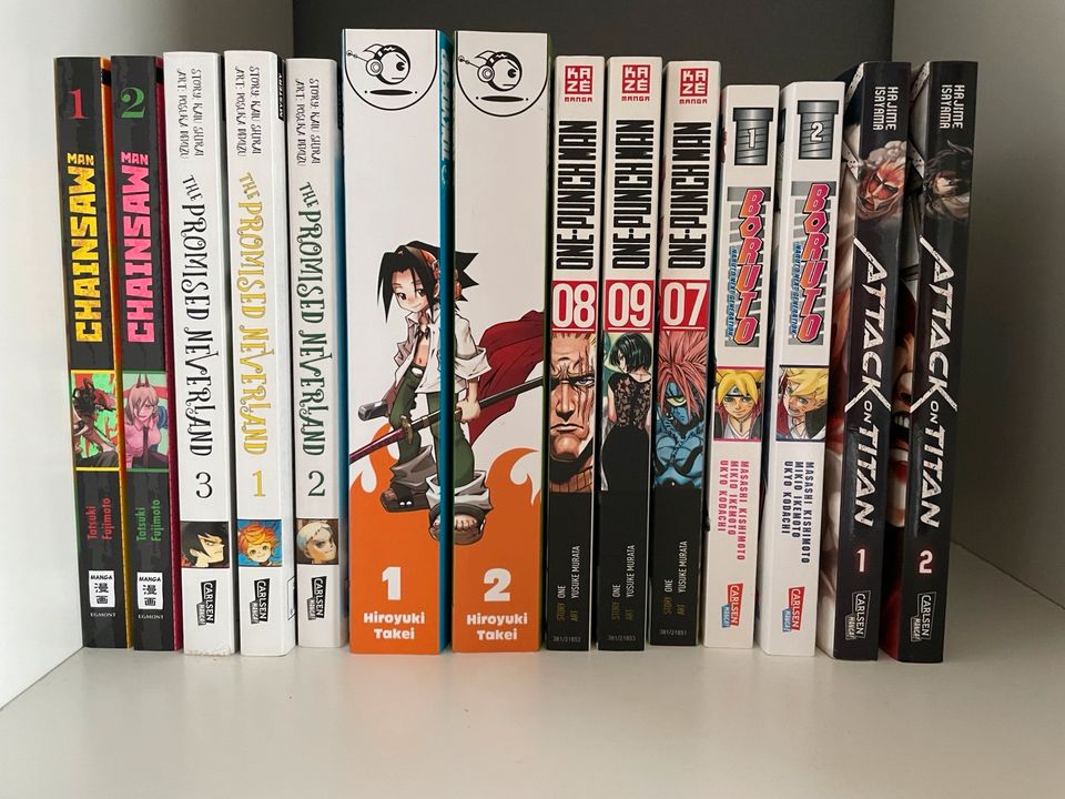 Kleine Manga Sammlung gemischt (1 Band 5 Euro) in Neuwied