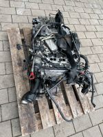 Mercedes Benz B180 CDI W245 Motor komplett A6400150502 Baden-Württemberg - Bönnigheim Vorschau