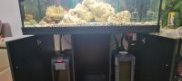 Komplett Aquarium mit Unterschrank  360liter Mitte - Wedding Vorschau