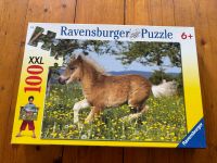 Pferde Puzzle 100 Teile Ravensburger Nordrhein-Westfalen - Rheda-Wiedenbrück Vorschau
