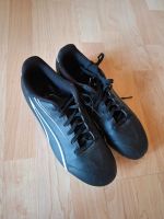 Fussballschuhe Puma Gr. 41 Bayern - Freudenberg (Oberpfalz) Vorschau