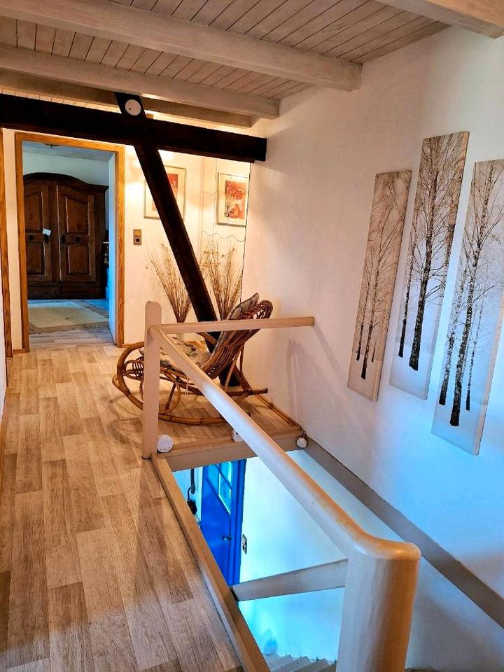 Ruhiges Ferienhaus, Alleinlage, Natur, Urlaub mit Hund, Nähe Harz in Einbeck