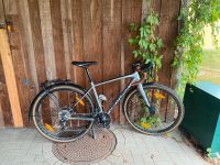 Gravelbike Centurion Rhöhe 47cm Rostock - Südstadt Vorschau