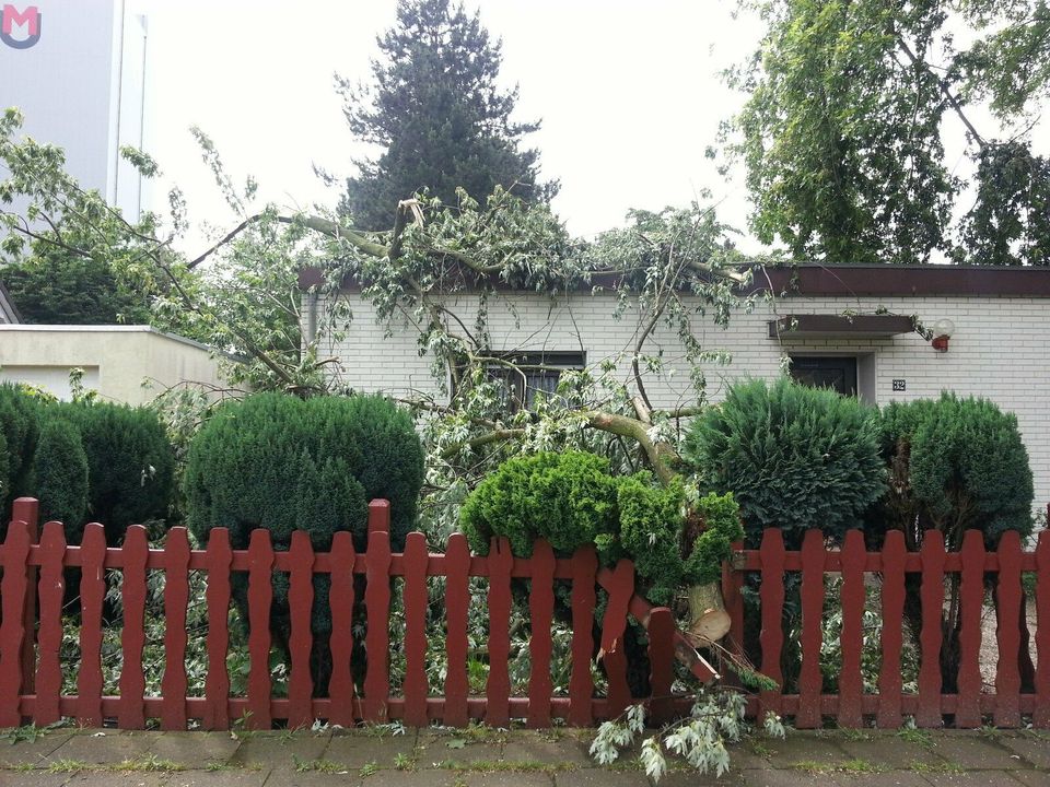 Baumpflege, Baumfällung, Sturmschadenbeseitigung kostengünstig in Recklinghausen