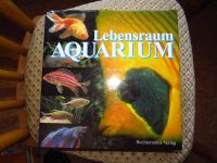 Lebensraum Aquarium - Bechtermuenz Verlag Sachsen-Anhalt - Langeneichstädt Vorschau