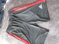 Shorts von Adidas Kr. München - Unterschleißheim Vorschau