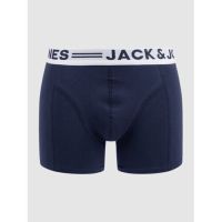 JACK&JONES Unterwäsche/Unterhose/Boxershorts Größe M Royalblau Niedersachsen - Cloppenburg Vorschau