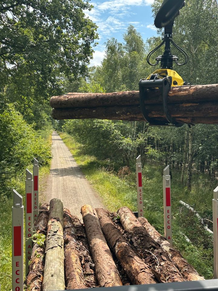 Rundholztransport Rundholz Transport Fracht LKW Container Kamin in Königslutter am Elm