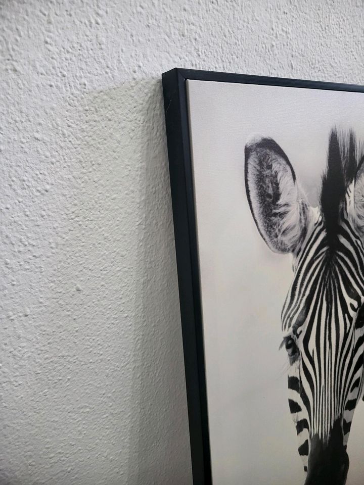 Bild Leinwand Zebra Afrika Schwarz Weiß in Dingolfing