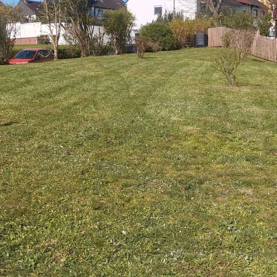 Haushaltshilfe, Reinigung, Gartenpflege für Kulmbach! in Kulmbach