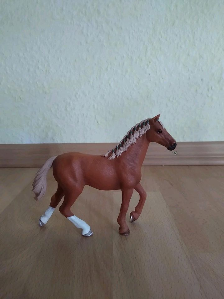 Schleich 42360 Englisches Vollblut in Dieblich