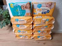 NEU 10 Packungen Windeln Größe 3 Pampers / Hallo Welt Nordrhein-Westfalen - Wiehl Vorschau