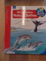 Ravensburger Buch Wieso weshalb warum 4 - 7 Jahre Wale Delfine Bayern - Oberschneiding Vorschau