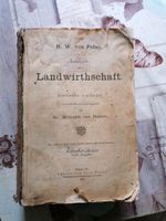 Landwirtschaft von h. W. Von Papst 1885 Bayern - Grafenau Vorschau