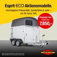 Böckmann Pferdeanhänger Champion UNO Esprit Eco Hessen - Wolfhagen  Vorschau