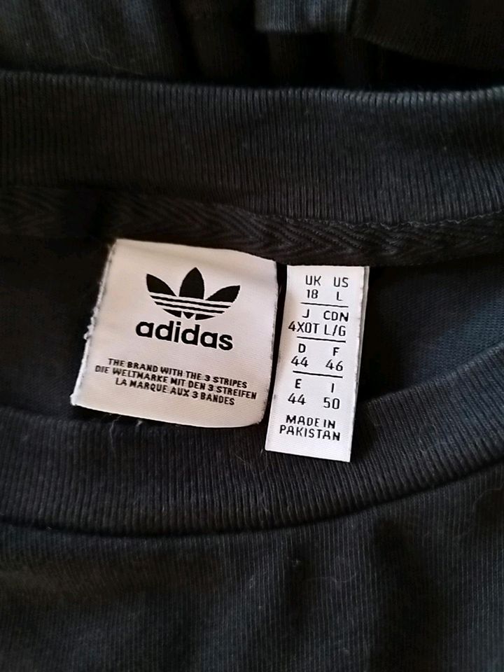 T-Shirt von Adidas in Waren (Müritz)