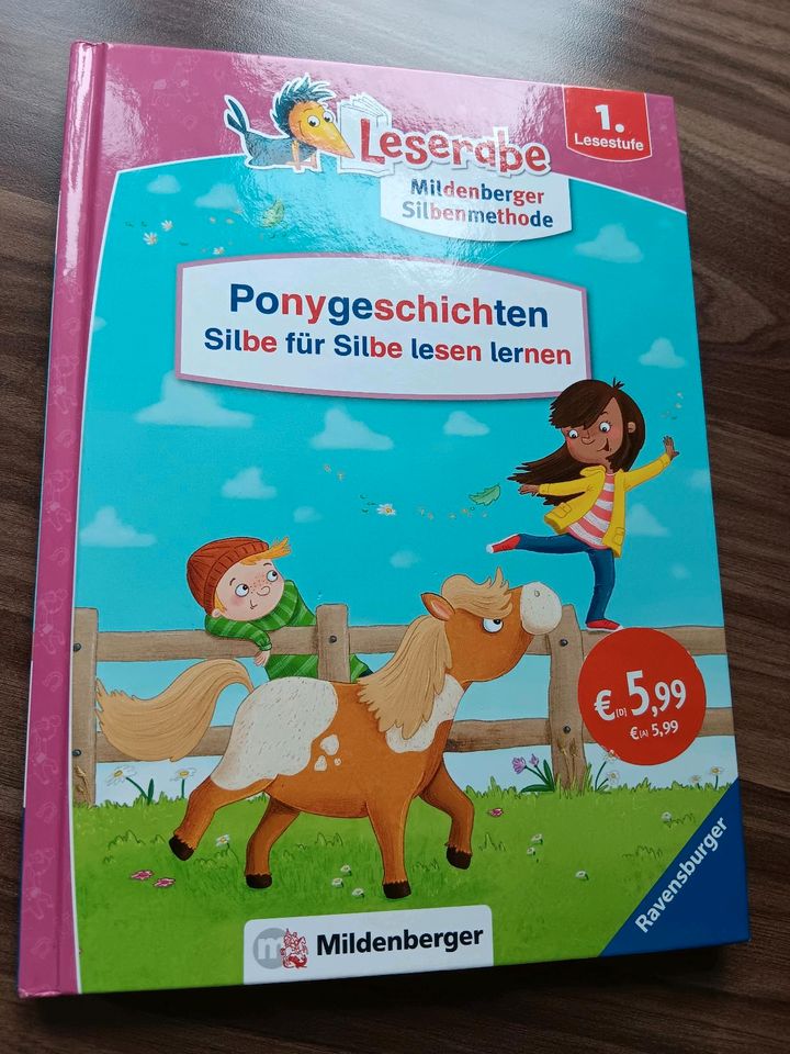 Leserabe  -  Ponygeschichten in Effeltrich