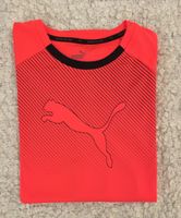 Puma Sport T-Shirt Gr. 164 atmungsaktiv Baden-Württemberg - Heilbronn Vorschau