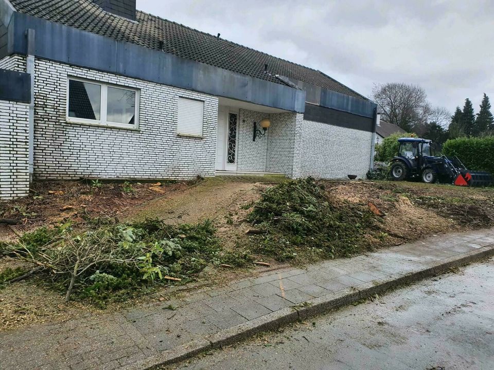 Sturmschaden Baumfäller Wurzelentfernung Baum Garten Unwetter in Mülheim (Ruhr)