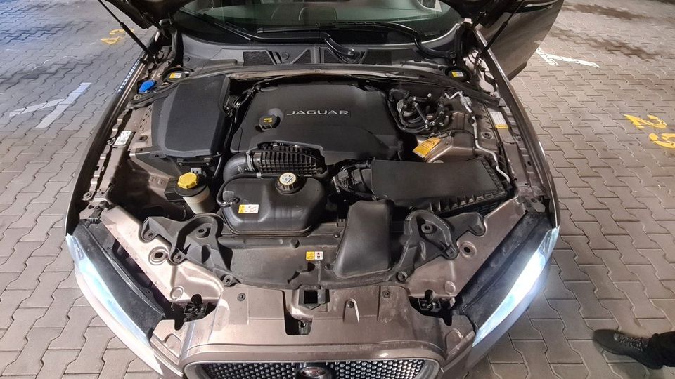 Jaguar XF 3.0 L V6 Diesel S - in Gaildorf