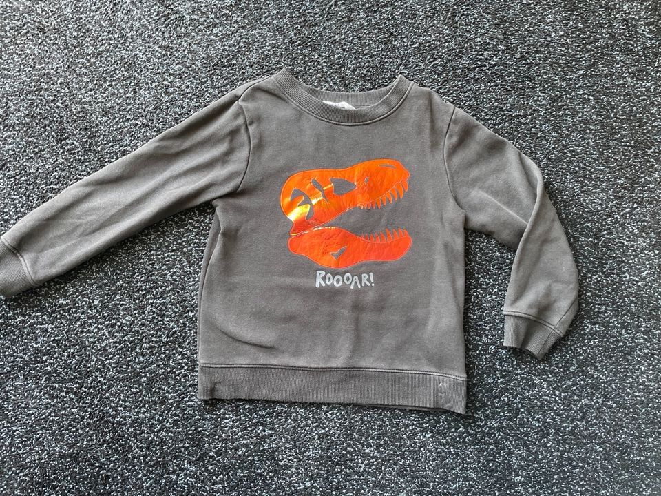 H&M Pullover Dinosaurier Größe 122/128 in Bad Schussenried