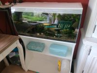 Aquarium Fluval Flex 125 L mit Unterschrank und Zubehör Schleswig-Holstein - Itzehoe Vorschau