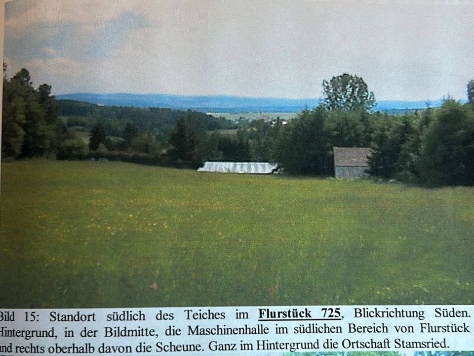 Grundstück landwirtschaftliche Fläche in Steinach b. Straubing