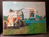 Wandbild Bild Fortschritt ZT303, E281 E280, ca. 30x40 cm Sachsen - Pulsnitz Vorschau