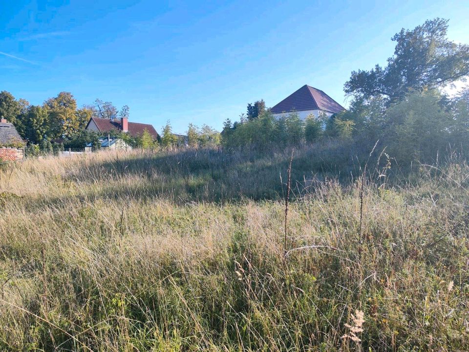 Grundstück mit Seeblick in Althüttendorf